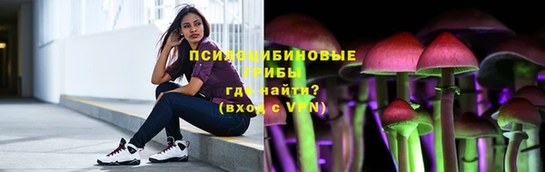 PSILOCYBIN Баксан
