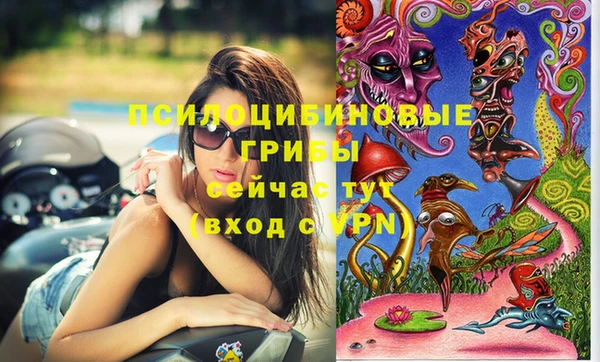 PSILOCYBIN Баксан