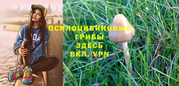 PSILOCYBIN Баксан